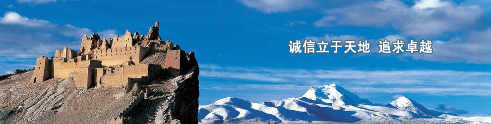 利用一系列固接在牽引鏈或膠帶上的料斗在豎直或接近豎直方向內向上運送散料